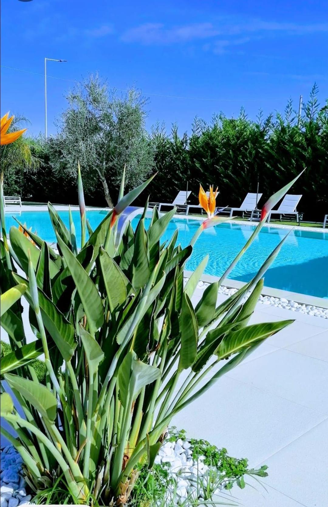 Relais Villa Ottavia Bitonto Esterno foto